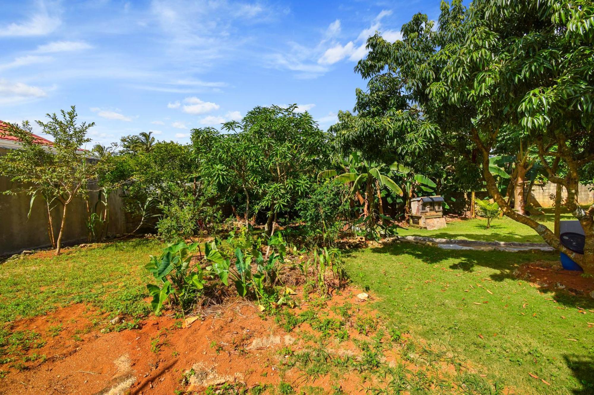 Apartamento Harriott Heights Mandeville Exterior foto